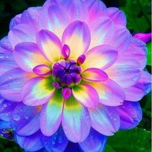 Meet your Posher, Lou